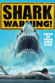 Shark Warning